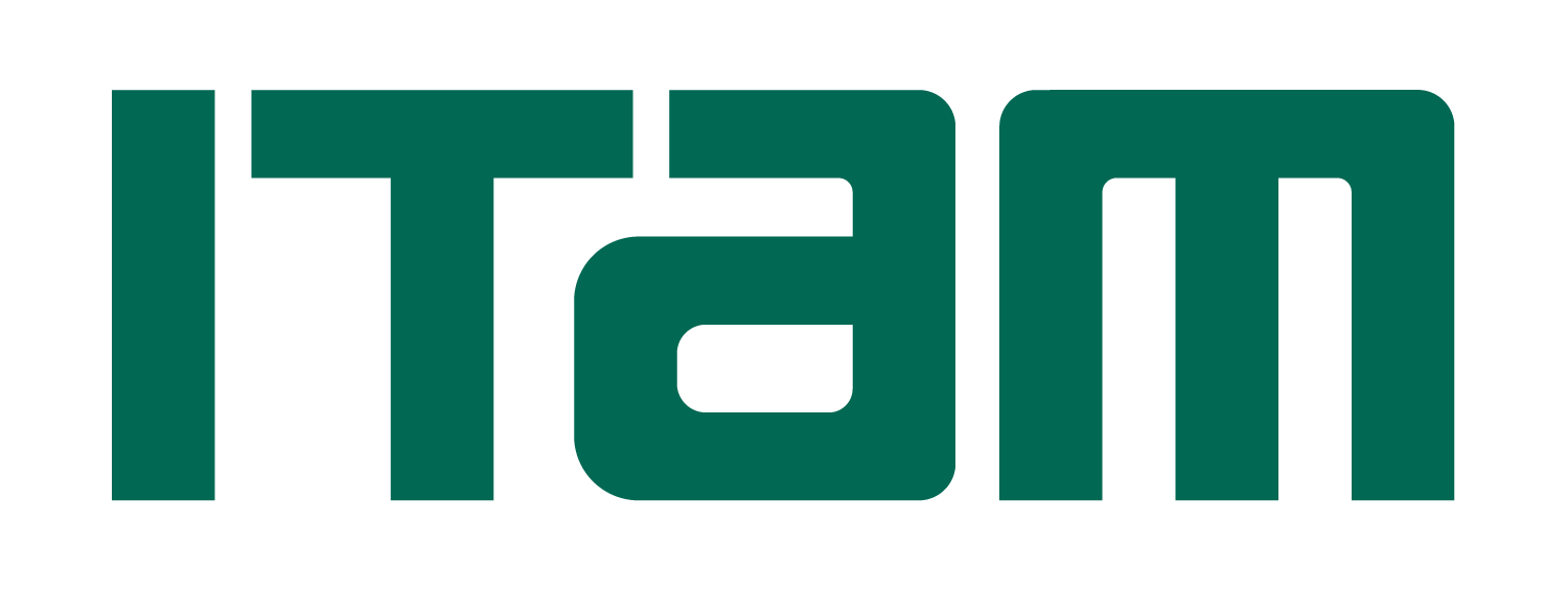 logo-ITAM